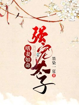 太子殿下你被逮捕了/強寵太子嗜妻如命