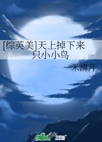 (综美英)天上掉下来只小小鸟