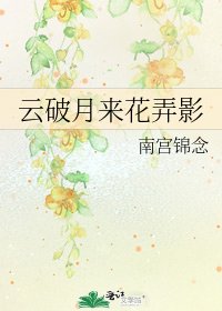 云破月来花弄影
