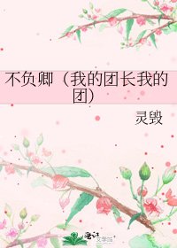 《不负卿(我的团长我的团)》