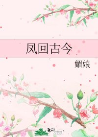 凤回古今