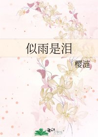 《似雨是泪》