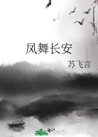 凤舞长安