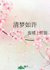 清梦如许