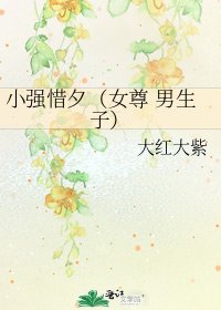 小強惜夕(女尊 男生子)