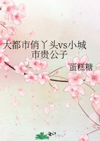 《大都市俏丫头vs小城市贵公子》