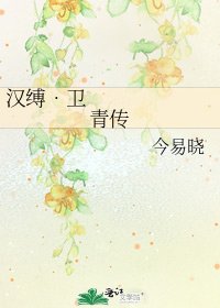 漢縛•衛青傳