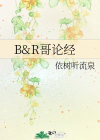 《B&R哥论经》