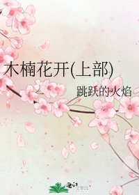 木楠花開(上部)