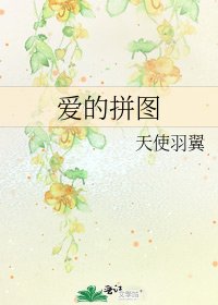 爱的拼图