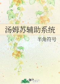 湯姆蘇輔助系統