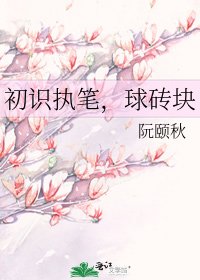 初識執筆,球磚塊