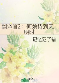 《翻译官2:何须待到天明时》