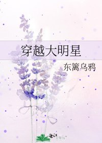 穿越大明星