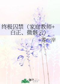 《终极囚禁(家庭教师+白正、微骸云)》