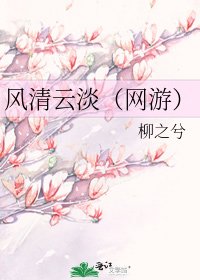 风清云淡(网游)