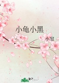 小龟小黑