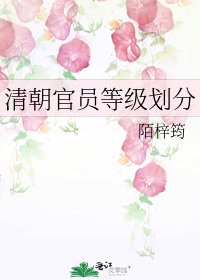 清朝官員等級劃分