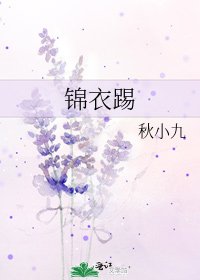 锦衣踢