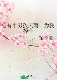 曾有个男孩风雨中为我撑伞