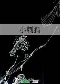 小刺蝟