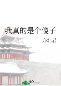 我真的是个傻子