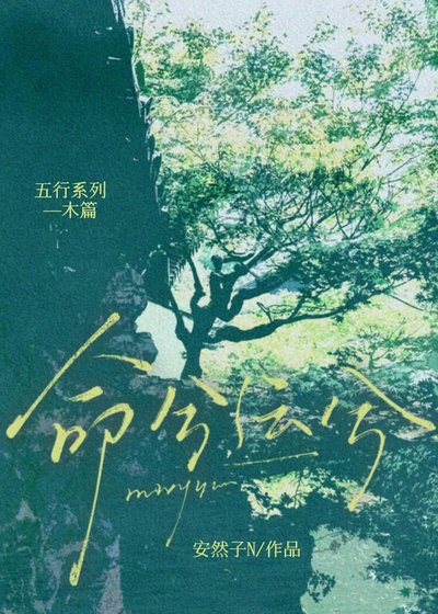 《命兮运兮》