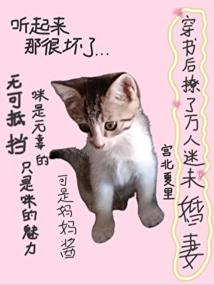 穿书后撩了万人迷未婚妻