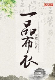 一品布仪