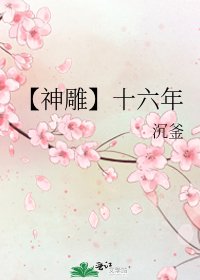 【神鵰】十六年