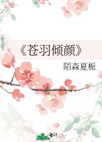 苍羽倾颜
