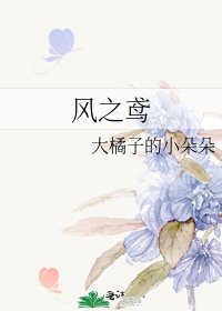 风之鸢