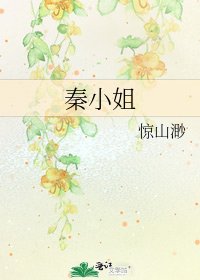 秦小姐