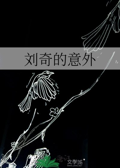 《刘奇的意外》