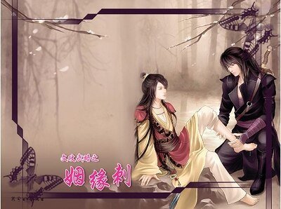 文攻武略之姻缘刺（出书版）