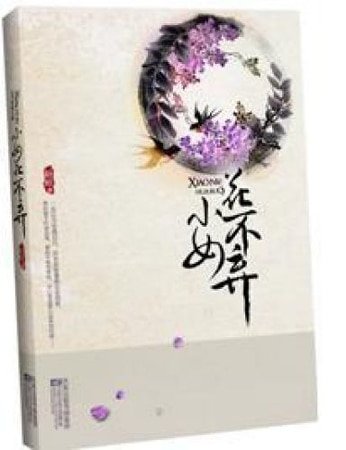 乞丐丫鬟古代寻情记:不弃(网络版)