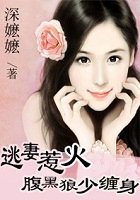 逃妻惹火:腹黑狼少缠身