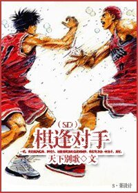 (SD同人/BL)棋逢對手
