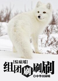 (綜瓊瑤同人/BL)綜瓊瑤之組團刷刷刷